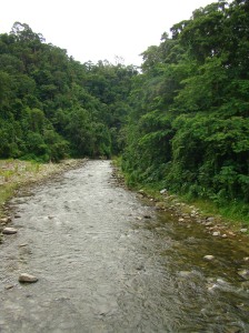 Río Cuyamel
